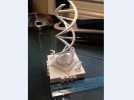 双螺旋DNA分子模型