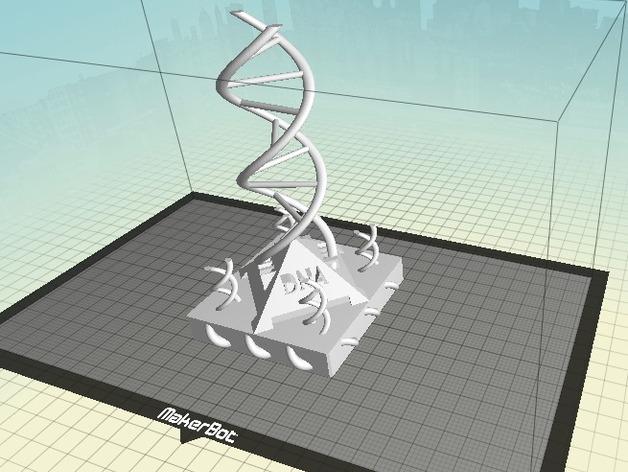 双螺旋DNA分子模型