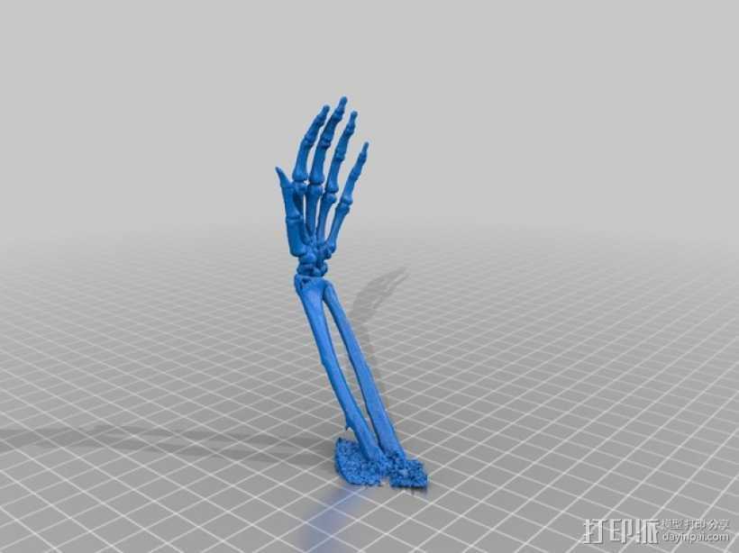 手骨骨架 3D打印模型渲染图