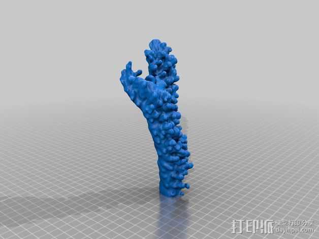 珊瑚枝 模型 3D打印模型渲染图