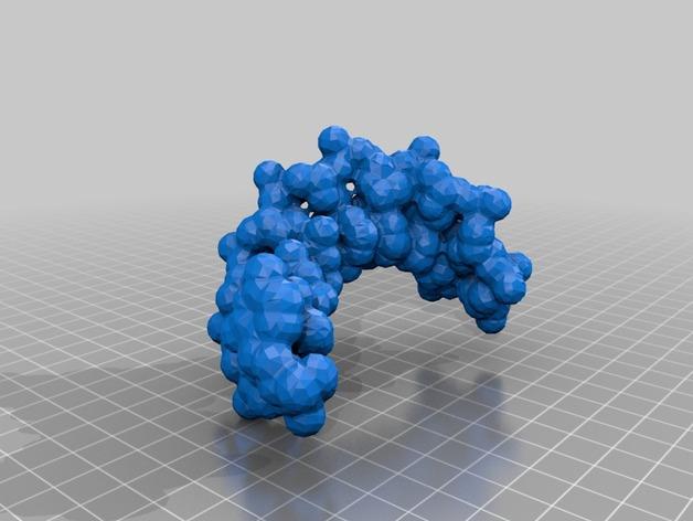 DNA分子模型