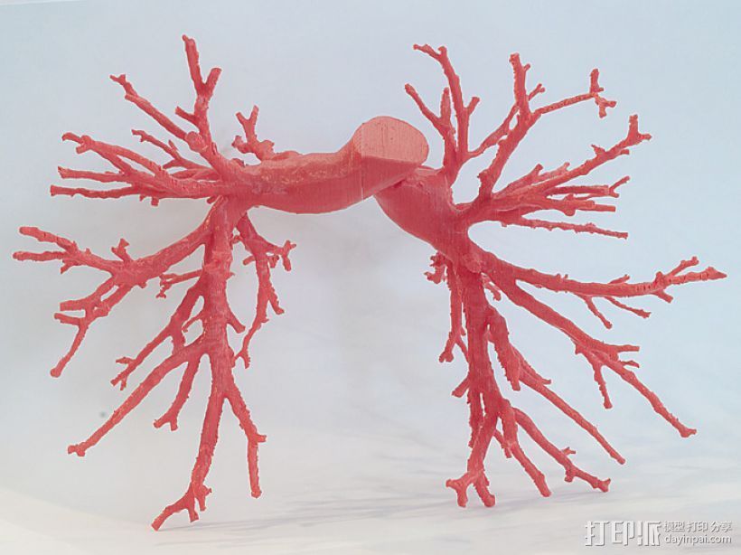 肺动脉 模型 3D打印模型渲染图