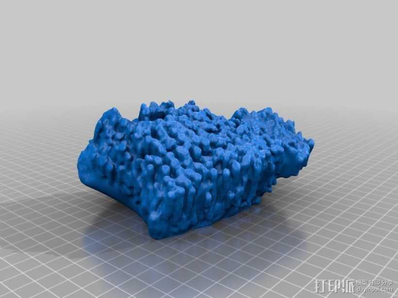 床板珊瑚化石模型 3D打印模型渲染图