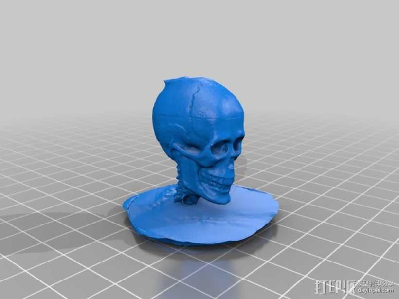 头骨模型 3D打印模型渲染图