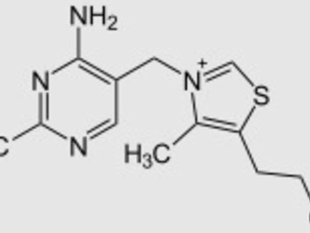 硫胺素分子模型