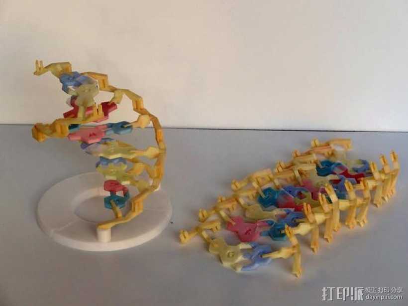 DNA 模型 3D打印模型渲染图