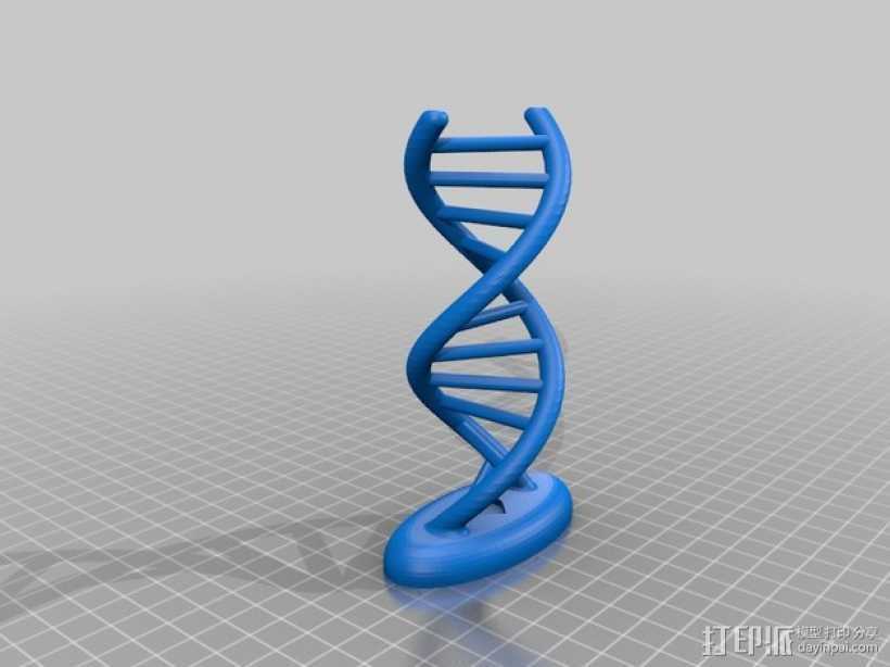 DNA模型 3D打印模型渲染图