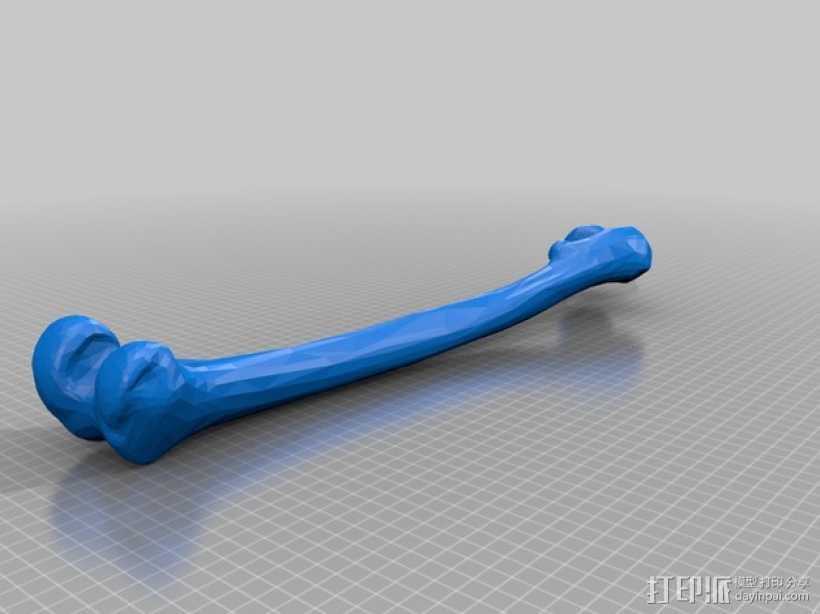 小腿骨骼模型 3D打印模型渲染图