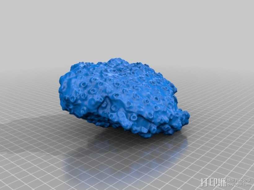 珊瑚模型 3D打印模型渲染图