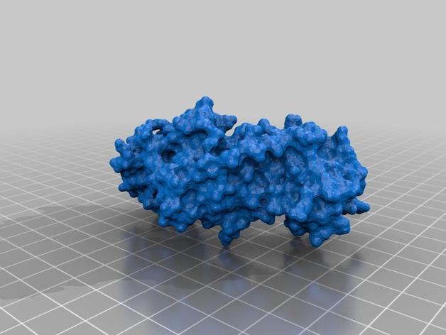 核糖核酸分子模型