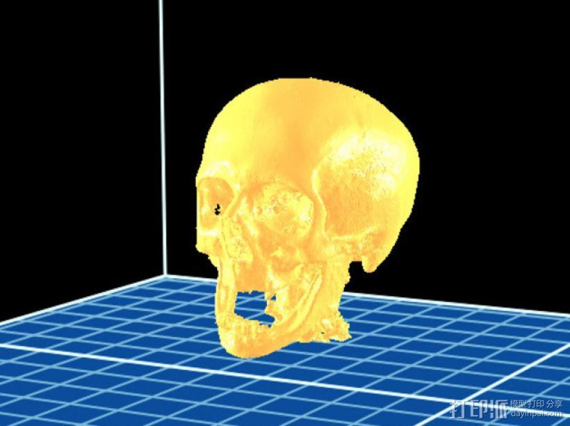 分形头骨模型 3D打印模型渲染图