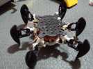 防昆虫机器人Hexapod