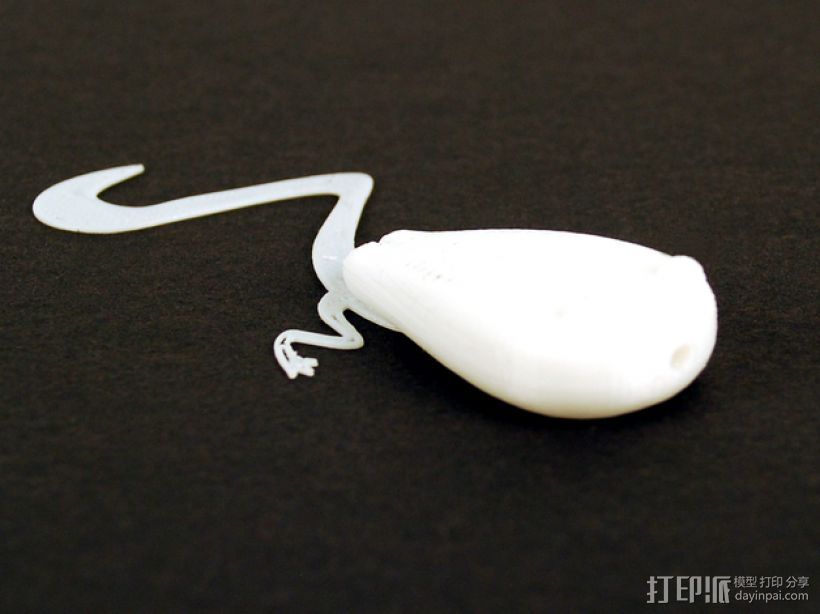 蝌蚪 鱼漂 3D打印模型渲染图