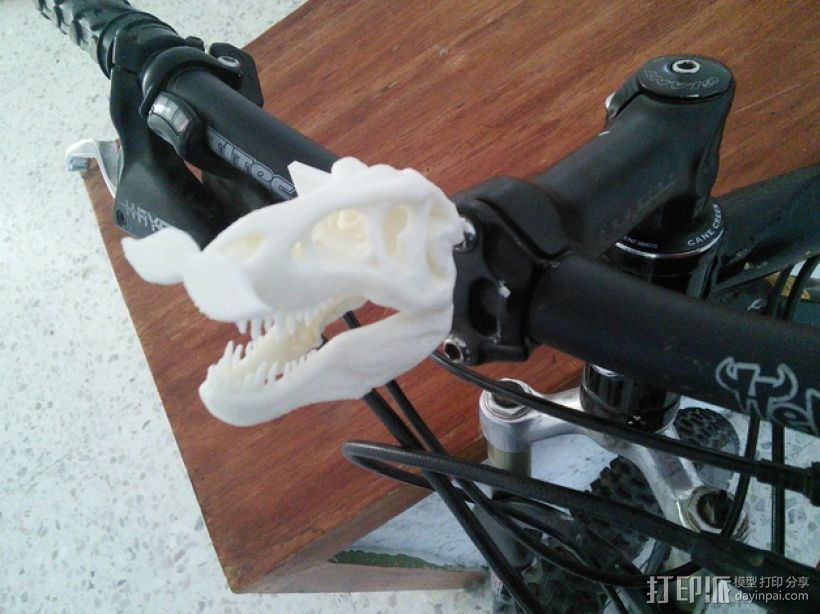 恐龙头骨 自行车车头装饰品 3D打印模型渲染图