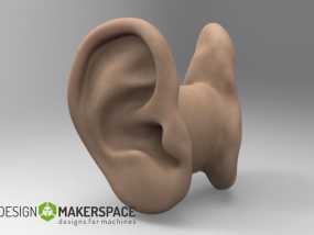 耳机收纳器 耳朵