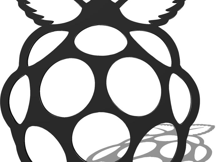 Raspberry Pi 树莓派标志