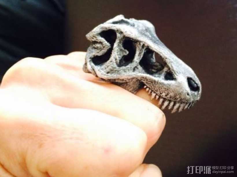 恐龙戒指 3D打印模型渲染图