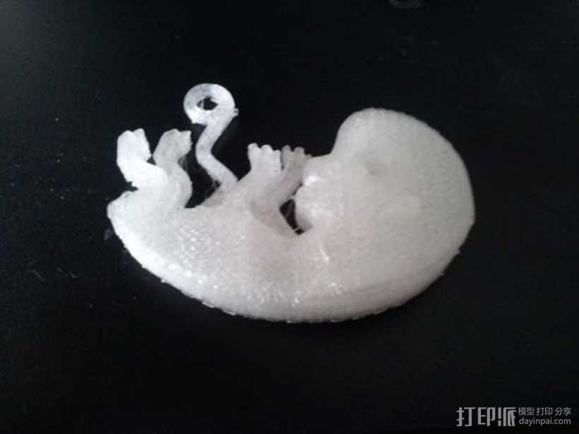 胎儿 钥匙坠  3D打印模型渲染图