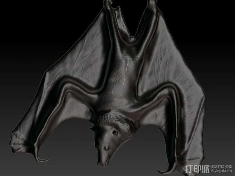 蝙蝠 项链坠 3D打印模型渲染图