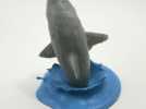 大白鲨 模型