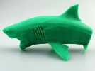 大白鲨 模型