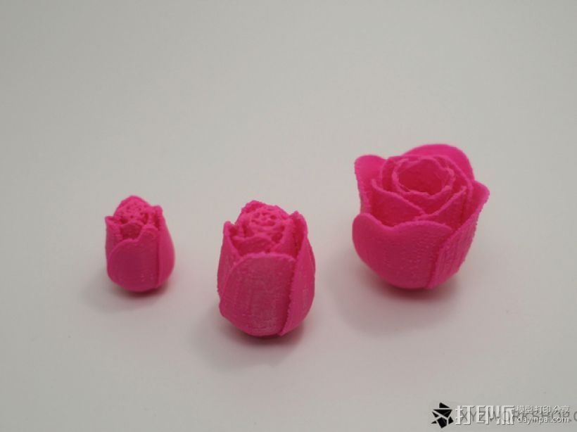 玫瑰花  3D打印模型渲染图
