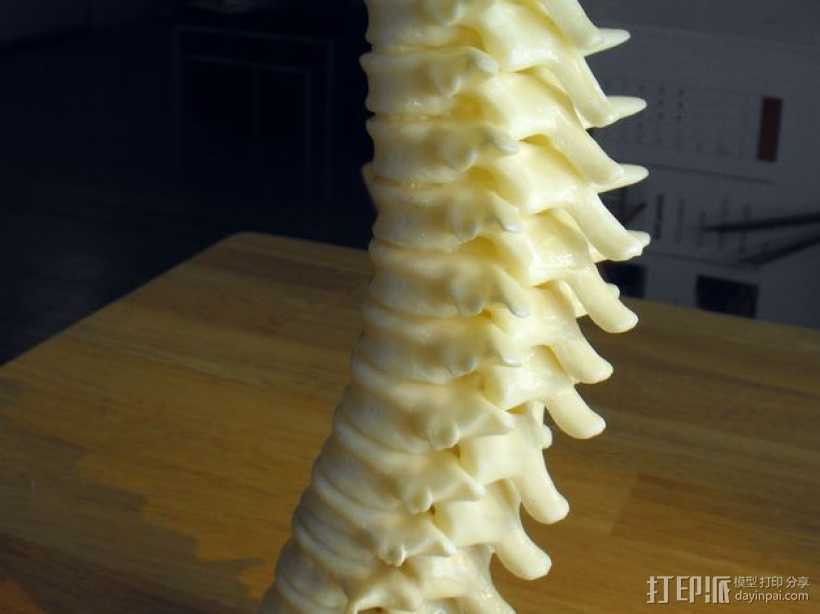 脊柱形烛台 3D打印模型渲染图