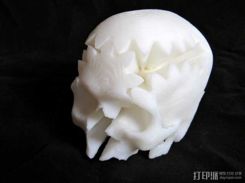旋转齿轮 头骨模型 3D打印模型渲染图