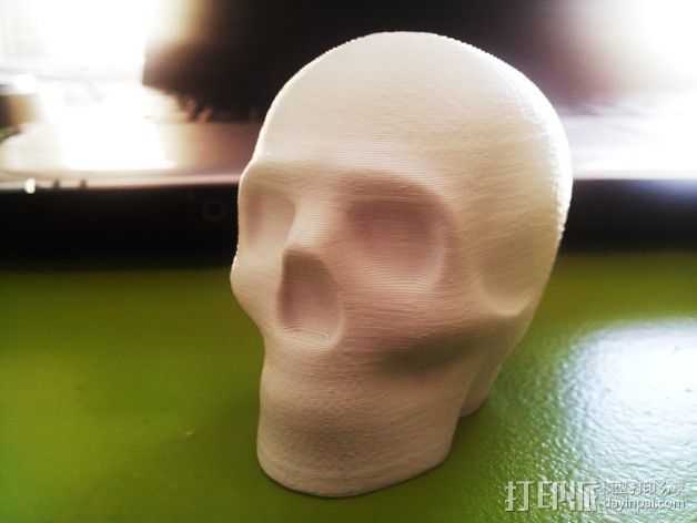 头骨 模型 3D打印模型渲染图