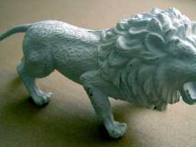 非洲狮 模型