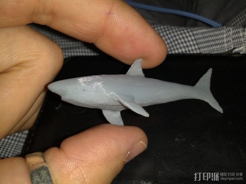 大白鲨模型 3D打印模型渲染图
