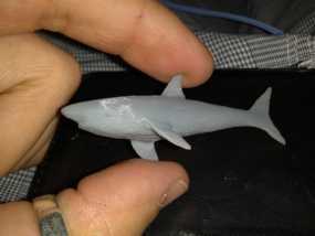 大白鲨模型