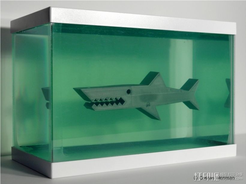 鲨鱼模型 3D打印模型渲染图