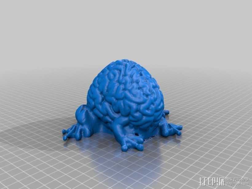 青蛙脑 模型 3D打印模型渲染图