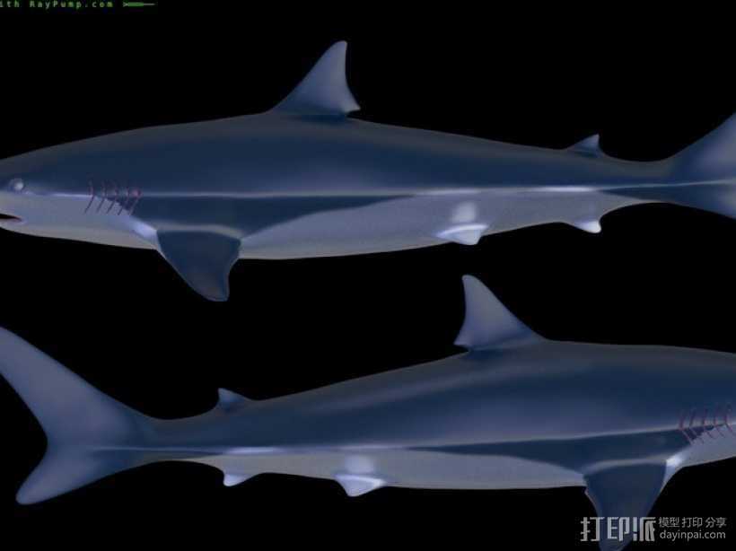 鲨鱼 3D打印模型渲染图