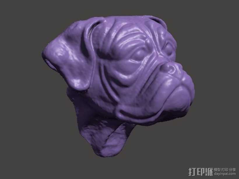 拳师犬头部模型 3D打印模型渲染图