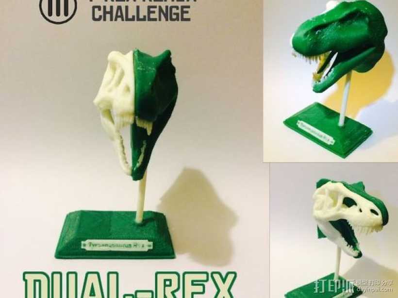 双色恐龙头骨 3D打印模型渲染图