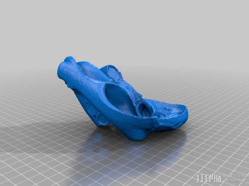 心脏解剖原型1 3D打印模型渲染图