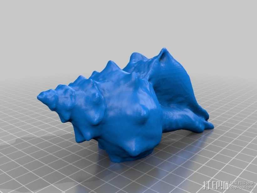 贝壳 3D打印模型渲染图