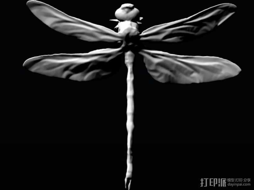 蜻蜓 3D打印模型渲染图