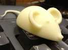 3D老鼠