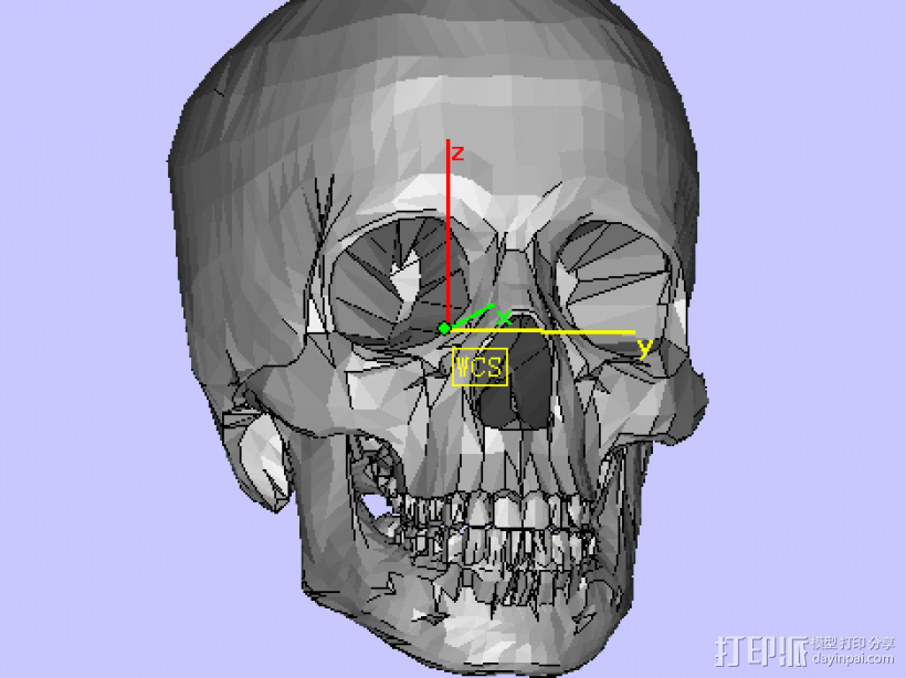 头骨 3D打印模型渲染图