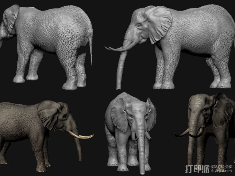 影视级写实大象模型 3D打印模型渲染图