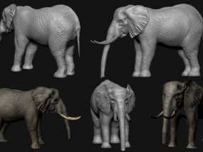 影视级写实大象模型