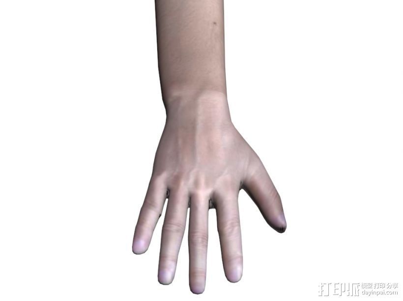 手臂写实模型 3D打印模型渲染图