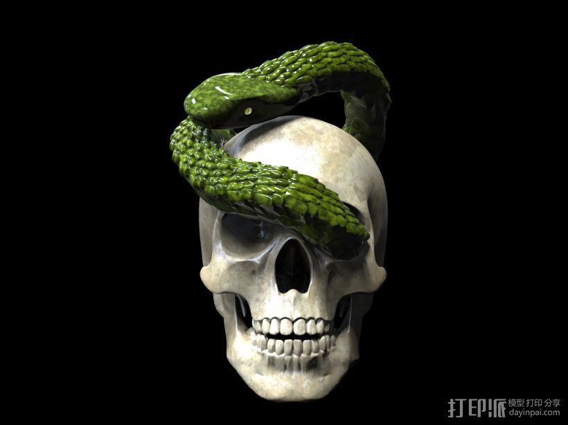 骷髅与蛇 3D打印模型渲染图