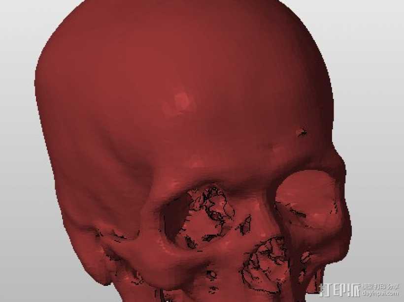 骷髅 3D打印模型渲染图