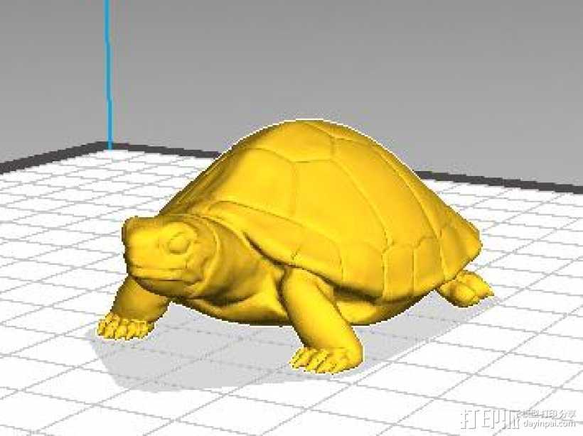 沙滩龟高精度 3D打印模型渲染图