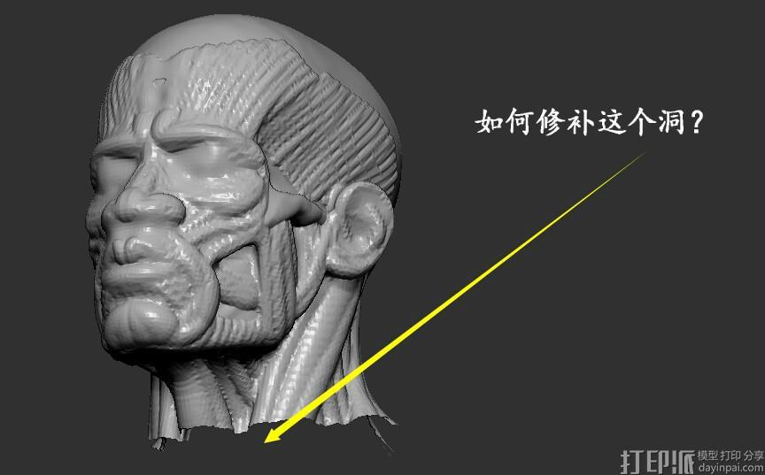 zbrush中如何給刪掉的地方補洞？