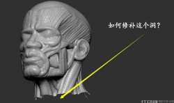 zbrush中如何給刪掉的地方補洞？